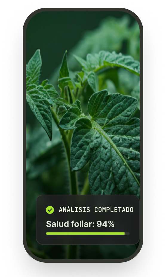 Diagnóstico de salud foliar en la aplicación Zembra