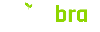 Zembra